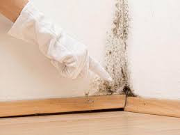 Best Mold Removal for HVAC Installations in Hartford, AL